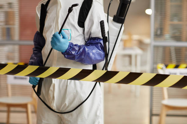 Professional Hoarding Cleanup technician working in Laconia, NH